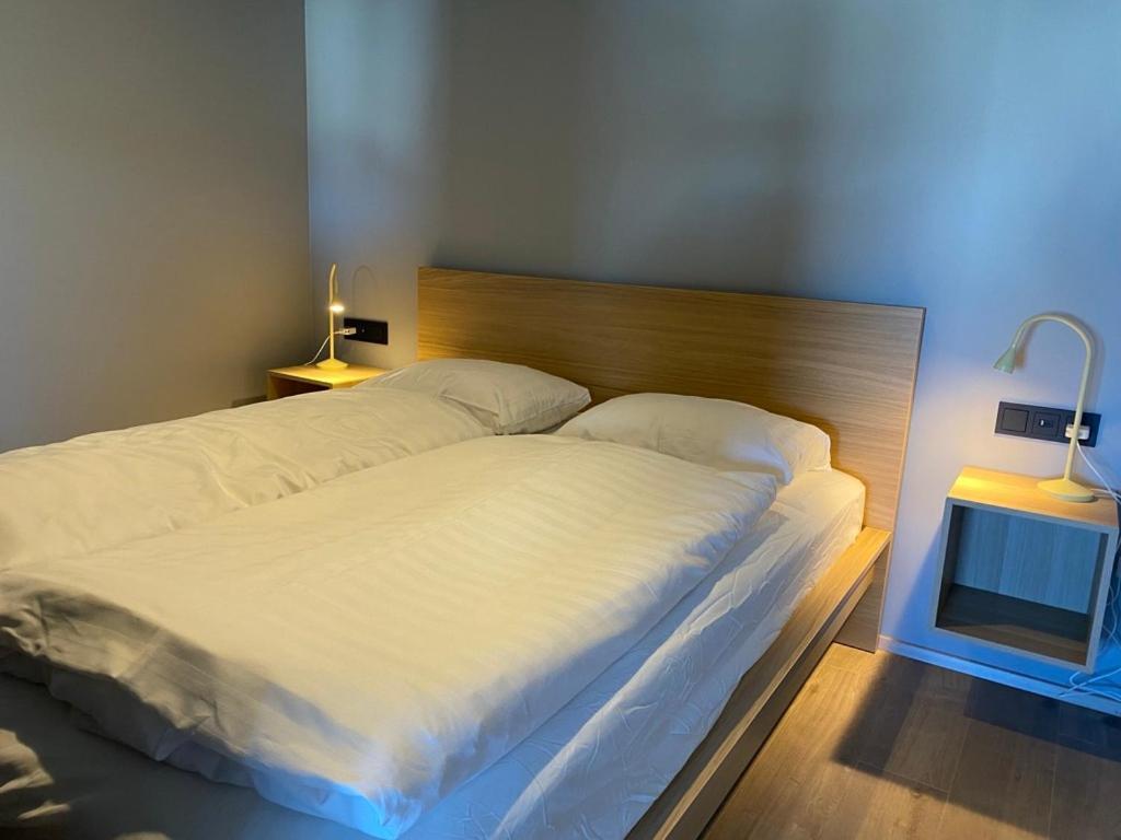 Luxury Loft Apartment 阿克雷里 外观 照片